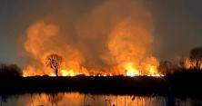 Пожежа на Осокорківських озерах знищила близько трьох гектарів екопарку: кому це вигідно? (відео)